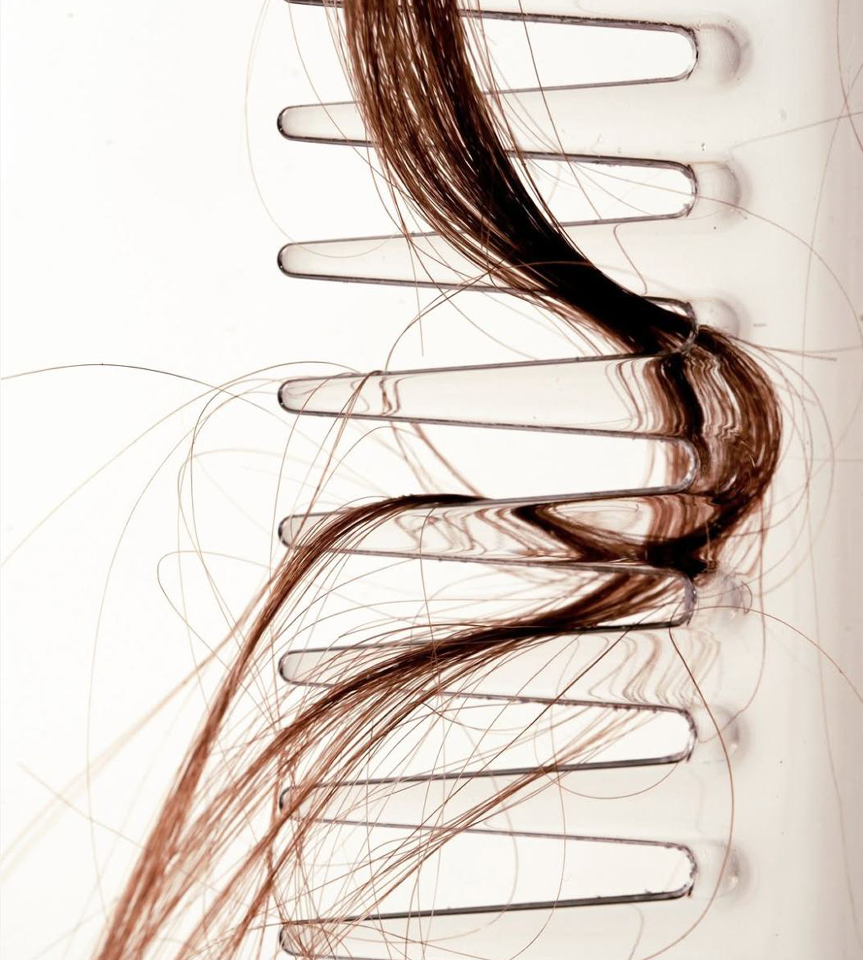 Hair strands pulled through a clear comb