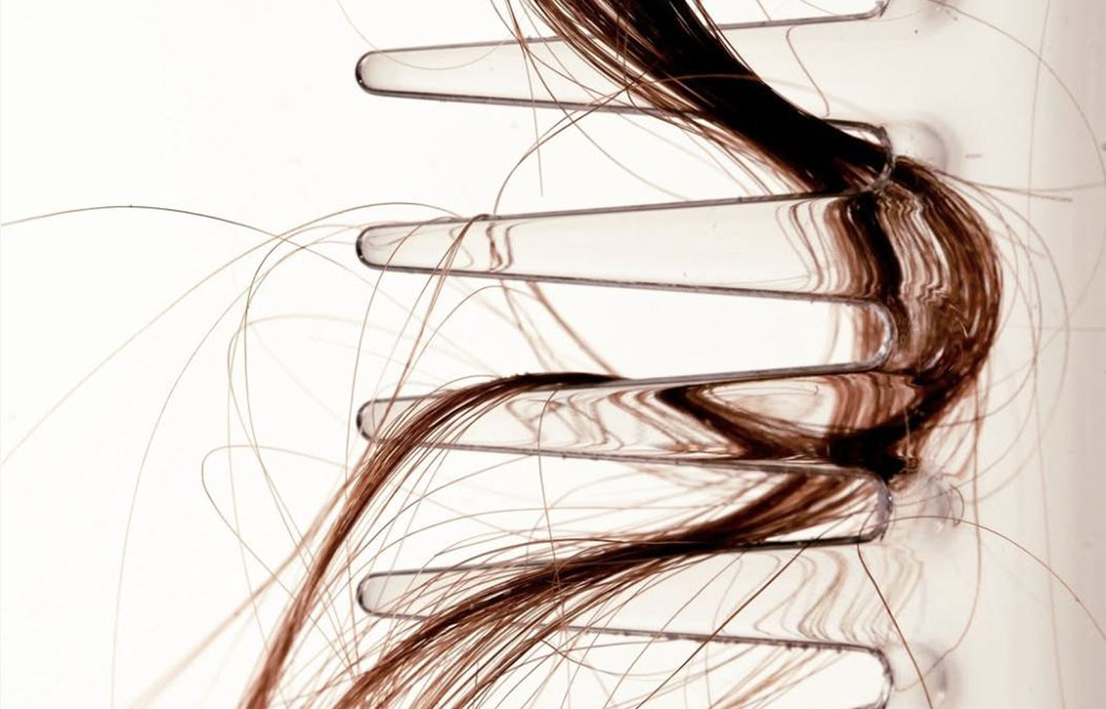 Hair strands pulled through a clear comb