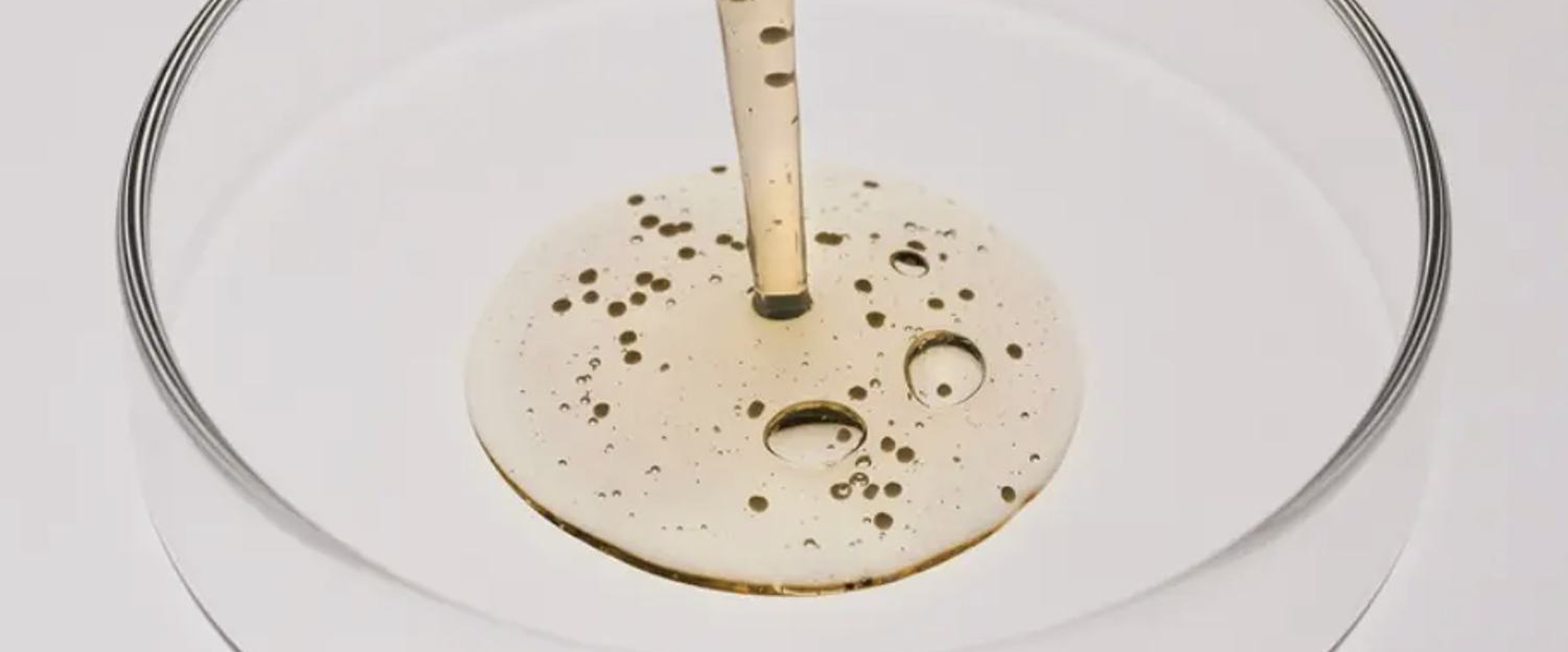 Pipette dropping formula into a petri dish