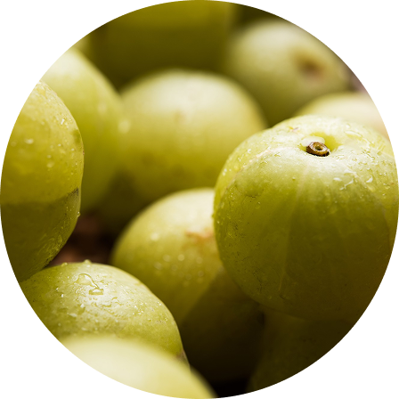 Amla