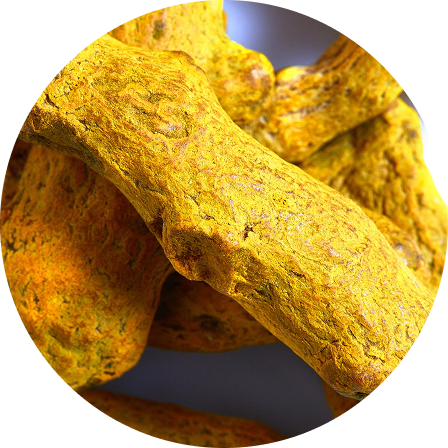 Turmeric